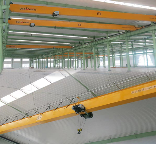 European-style Double Girder Crane